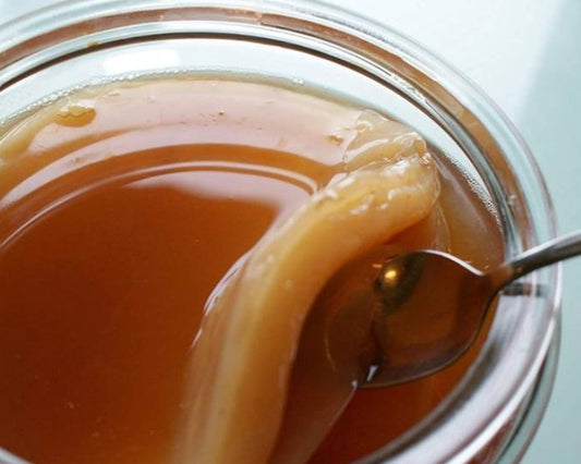 Large Scoby for 5 Litre brews with starter liquid