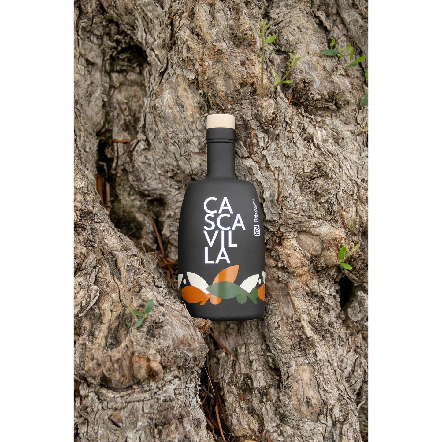 Pure Organic Extra Virgin Olive Oil 500ml - From Italy (Apulia) - With box