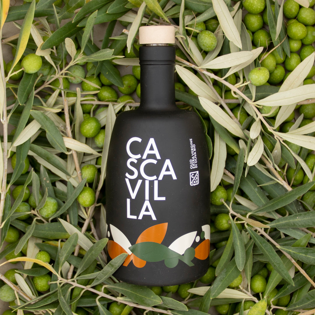 Cascavilla
