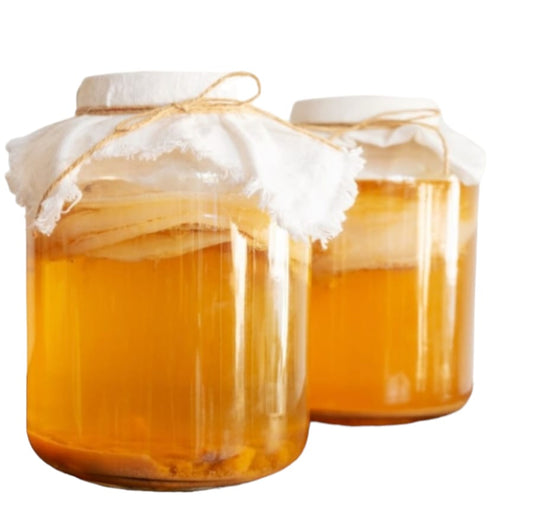 Large Scoby for 5 Litre brews with starter liquid